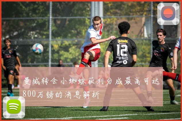 曼城转会小蜘蛛获利分成最高可达800万镑的消息解析